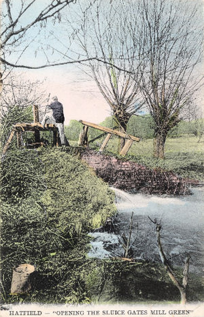07_hatfield_mill_green_sluice.jpg