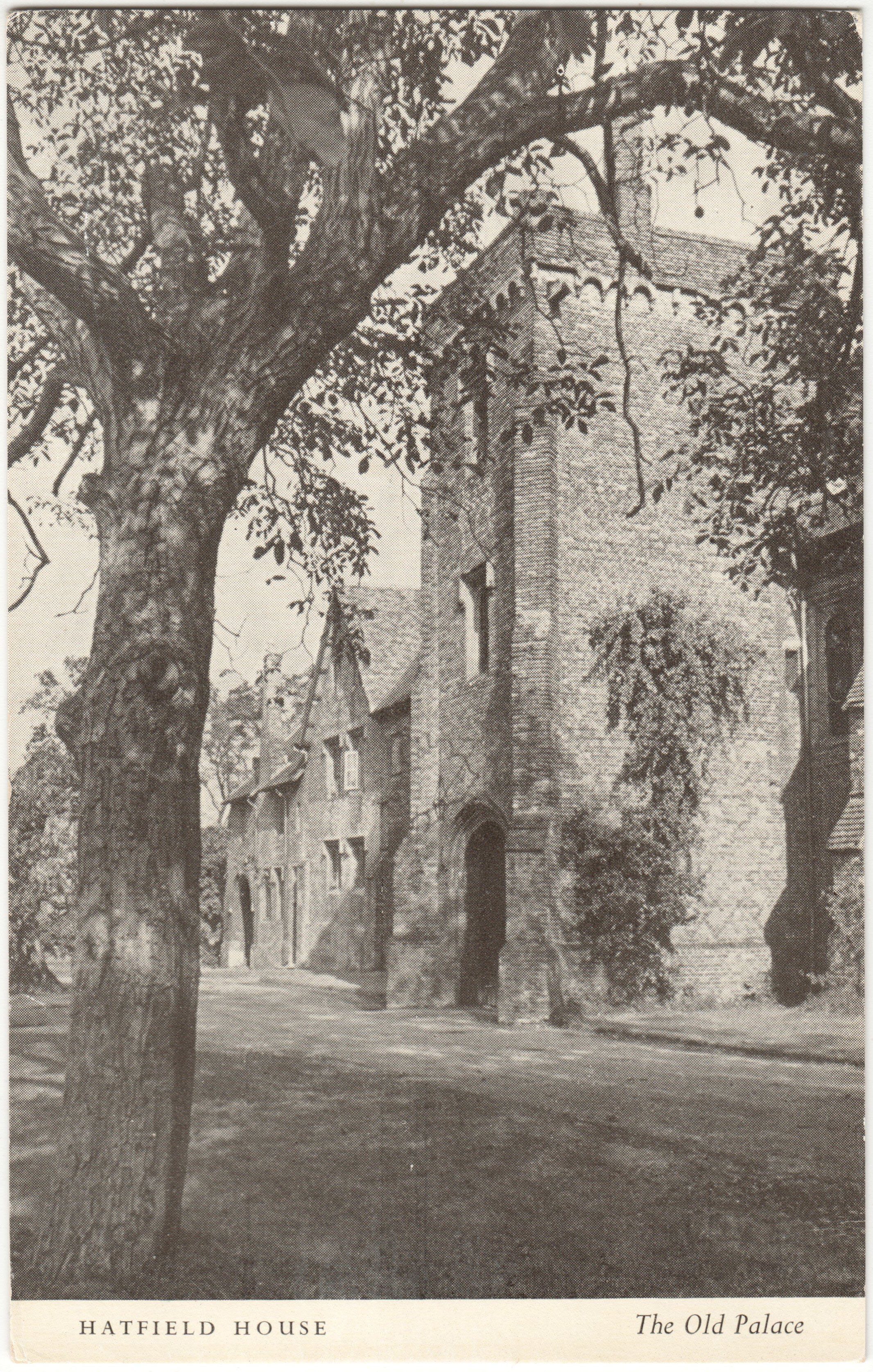 19_9_X_14_Bw_Hatfield_House_Old_Palace.jpg