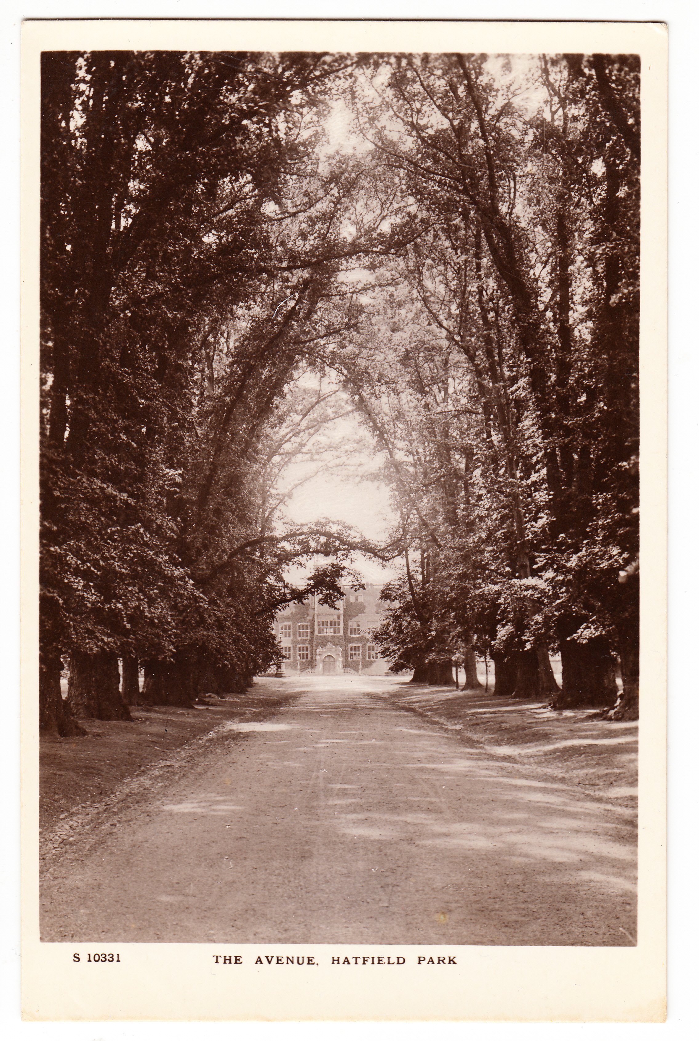 hatfield park the avenue front.jpg
