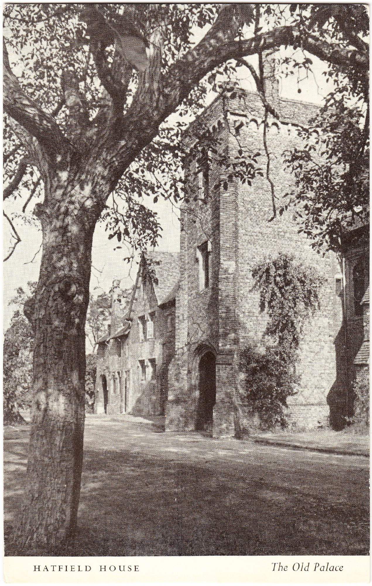 hatfield_house_old_palace_2.jpg