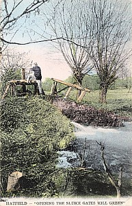 07_hatfield_mill_green_sluice.jpg