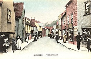 09_hatfield_park_street_hatfield_series_10.jpg