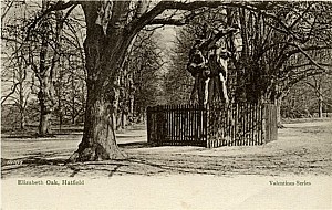 13_hatfield_house_eliz_oak.jpg