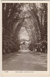 34_9_X_14_Bw_Hatfield_House_The_Avenue_Kingsway_S10331_2.jpg