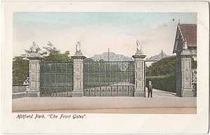 41_9_X_14_Colour_Hatfield_House_Front_Gates_Hatfield_Series_No_50.jpg