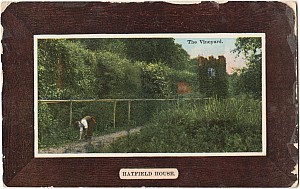 52_9_X_14_Colour_Hatfield_House_The_Vineyard_Taylors.jpg