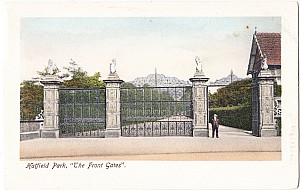 Hatfield_House_Front_Gate_Hatfield_Series_50.jpg