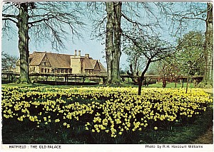 Hatfield_House_Old_Palace_Whdc_1989.jpg