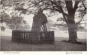 hatfield_house_elizabeth_oak.jpg