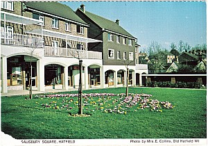 t_hatfield_salisbury_square_wi.jpg