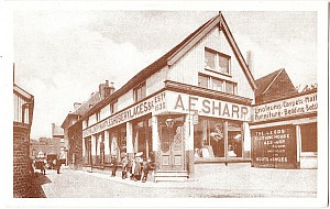 hatfield_ae_sharp_ej_original.jpg