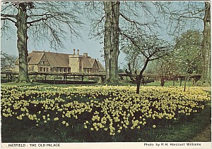 hatfield_old_palace_whdc_1989.jpg