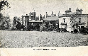 hatfield_warren_wood.jpg